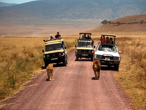 afrika-safari-tanzanii